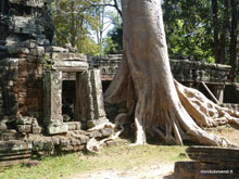 Angkor - Cambodge